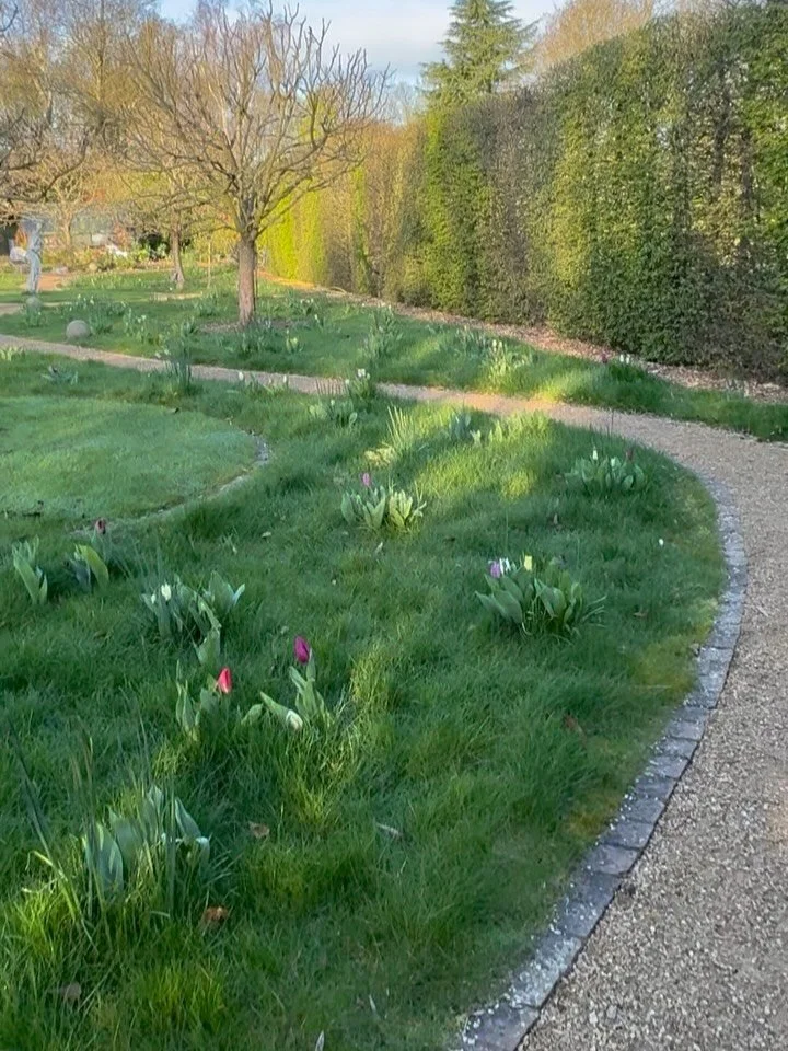 Happy Easter Insta Friends 🐣🌷💐

I hope I&rsquo;ve not gone too early with my wander through the orchard; but there&rsquo;s always the possibility of another and the early days of the orchard tulips and the Easter weekend are synonymous to me (and 