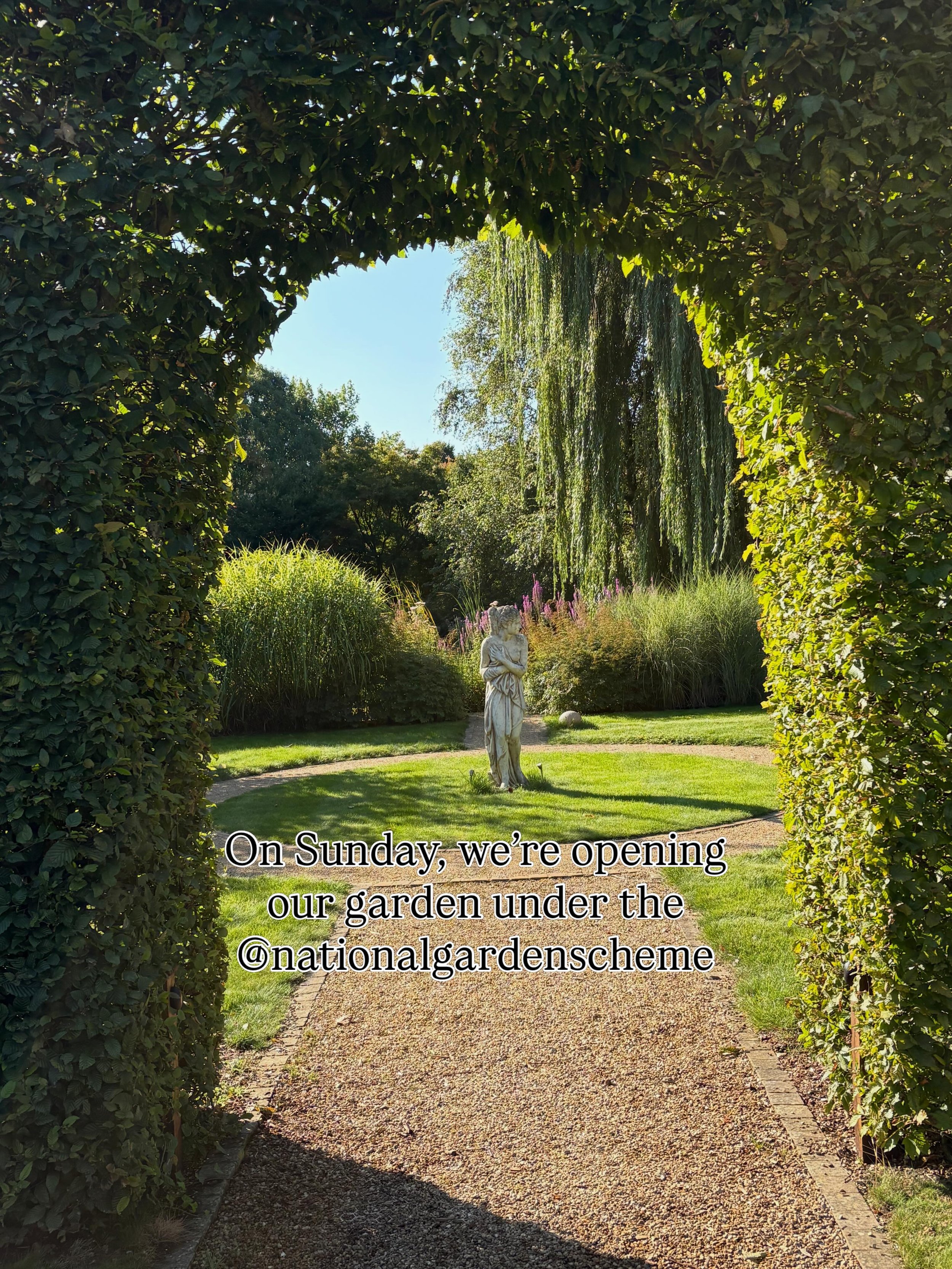 Sunday&rsquo;s our big @nationalgardenscheme opening day, friends, and we&rsquo;d love to see you there if you&rsquo;re local. 

The big incentive is that all tickets monies go directly to the NGS, so your &pound;10 investment in your visit helps all