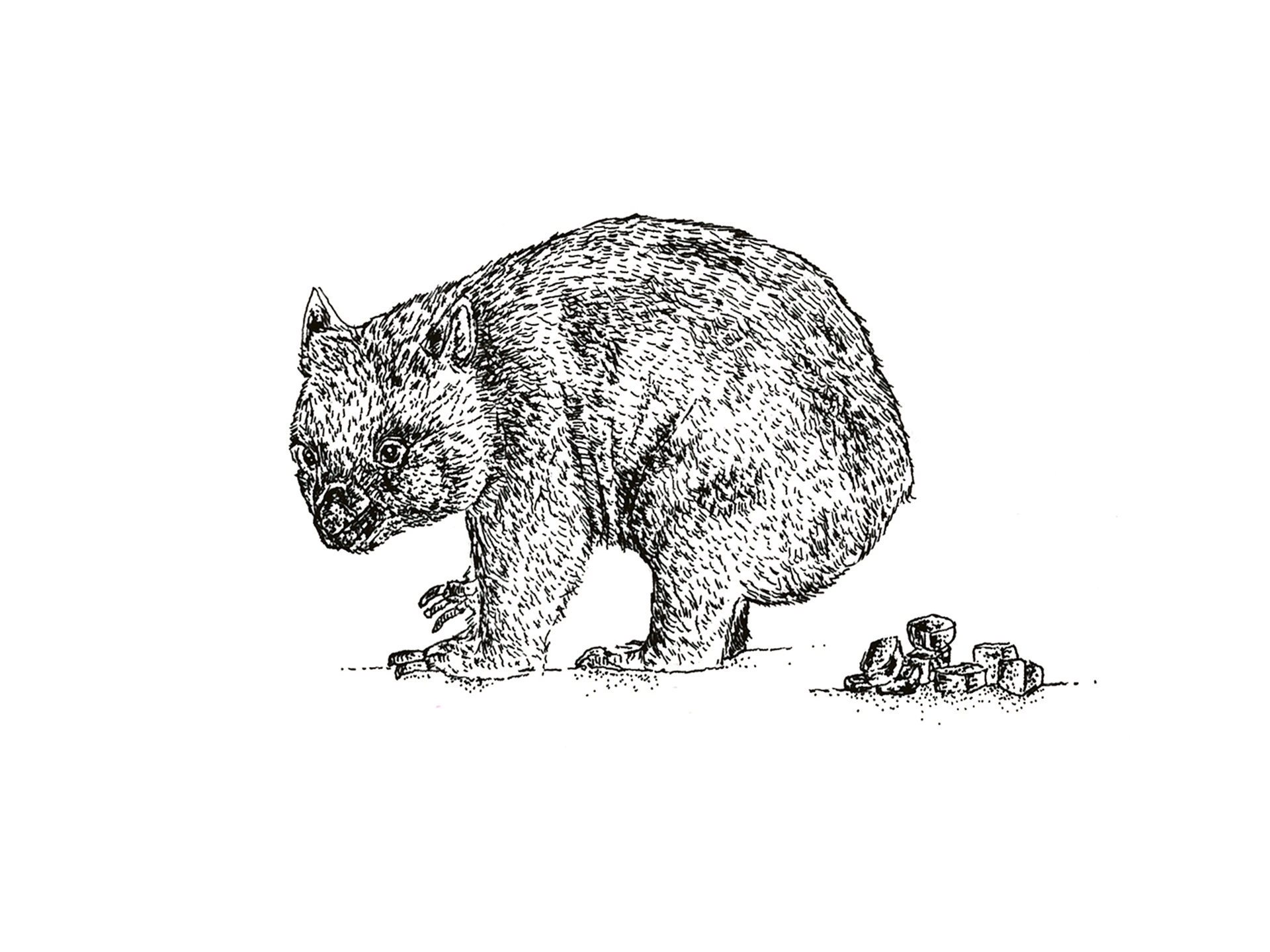 magazine-template-lying-on-a-transparent-surface-a15064 (2) copie.png