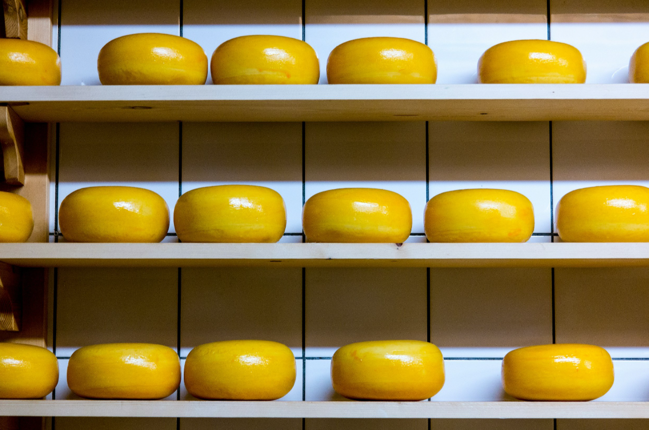 Cheese Handling Robot