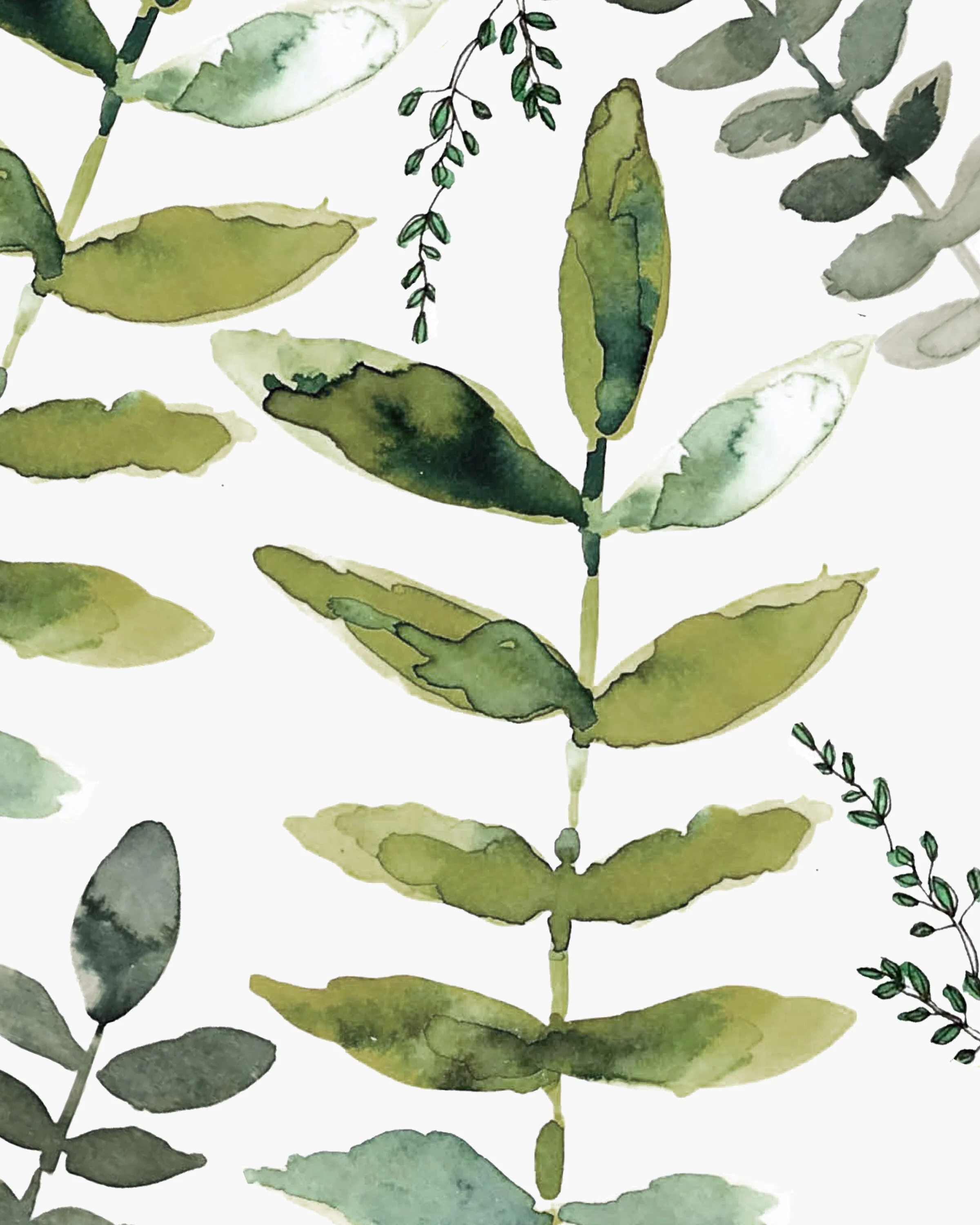 Botanical