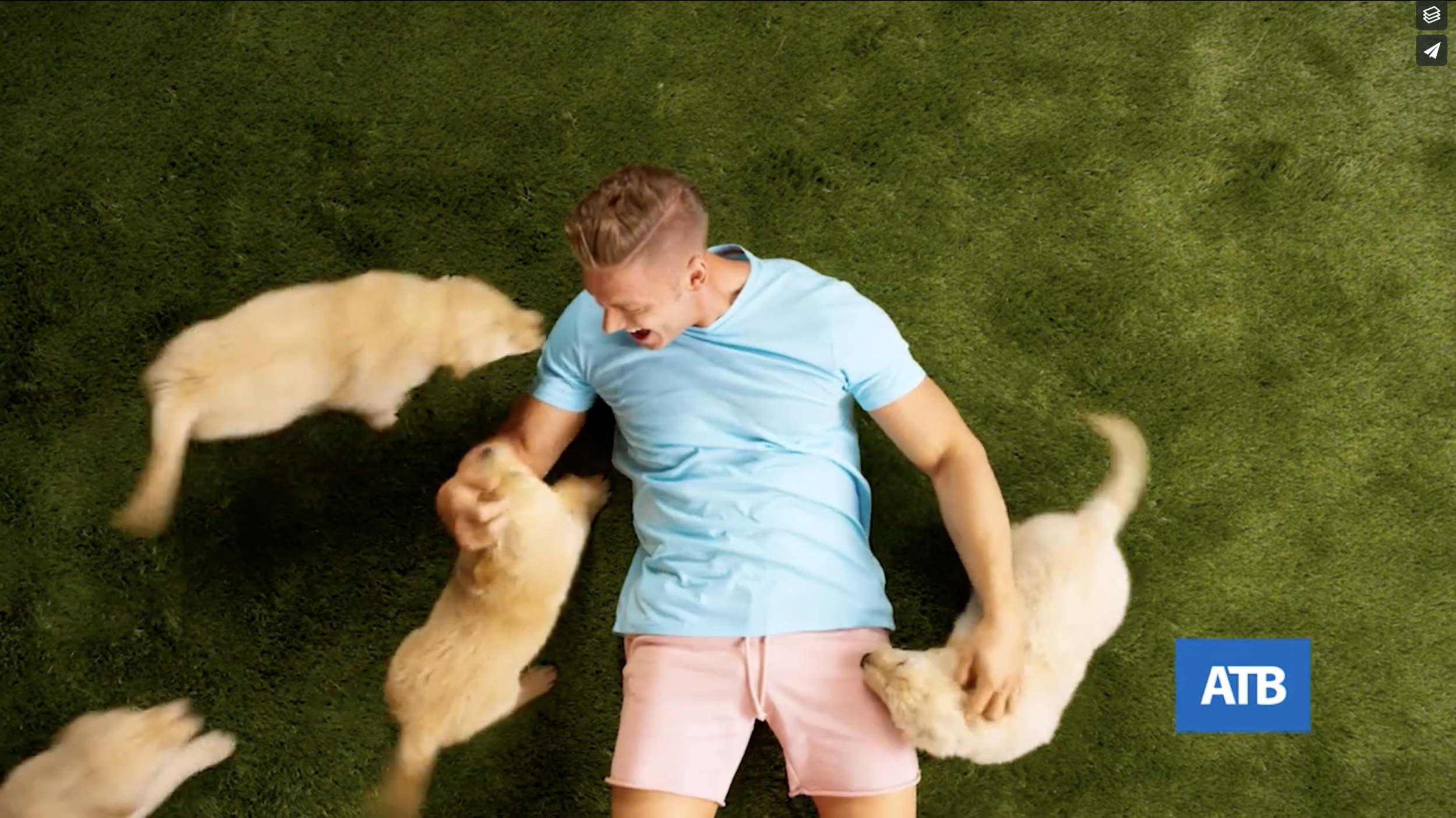 ATB - No Fees "Puppies"