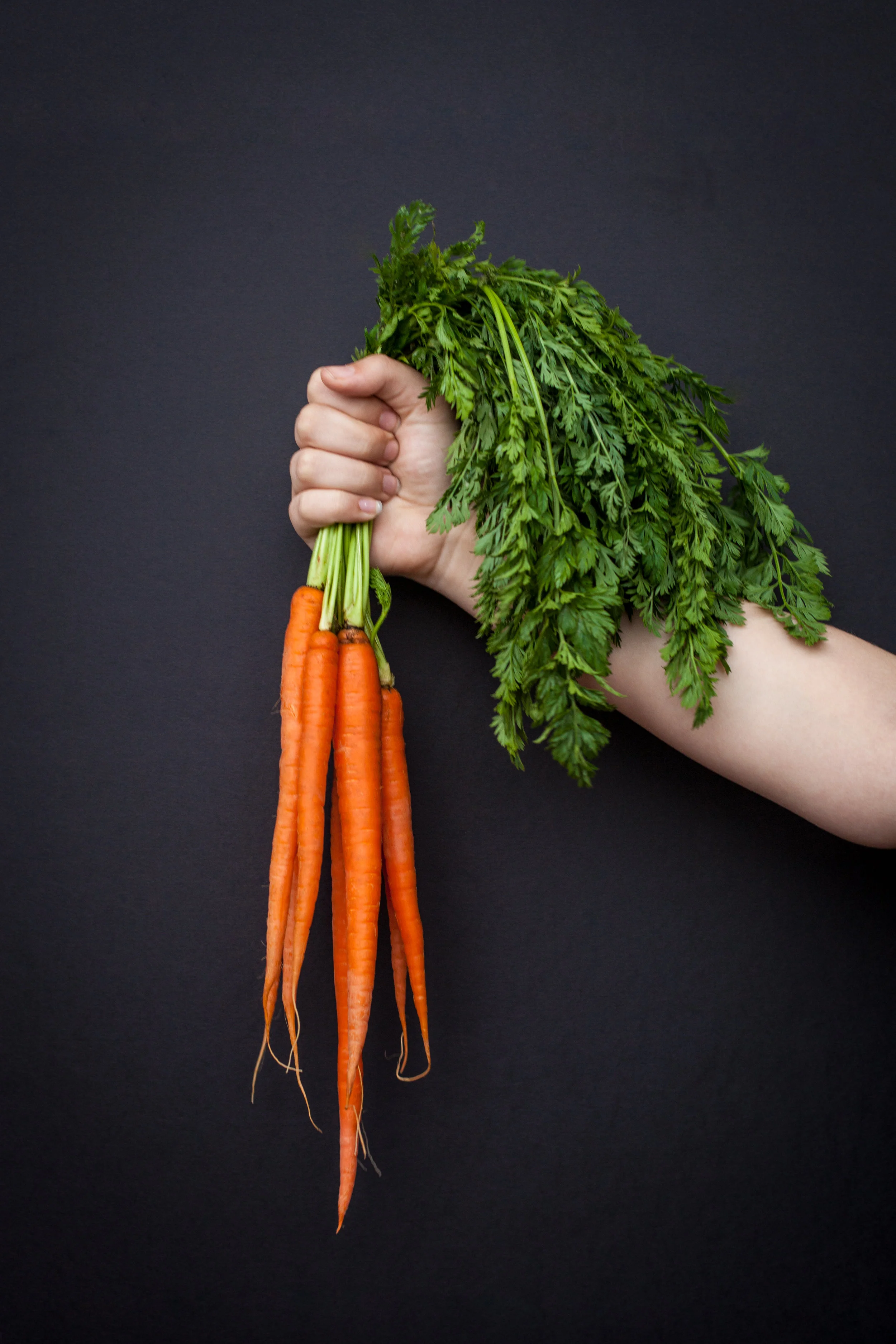 Where's the carrot?