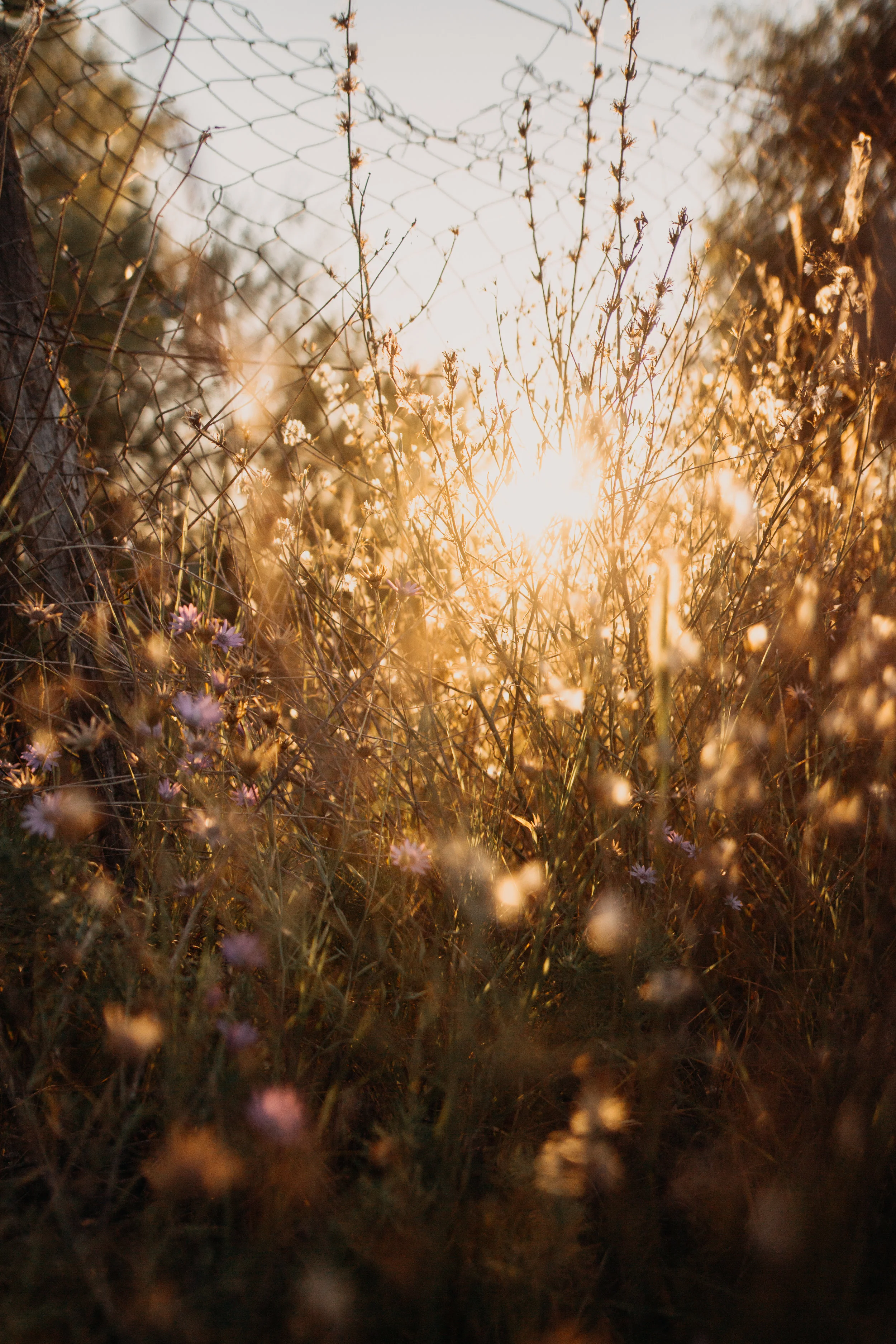 Grant Yourself Some Grace