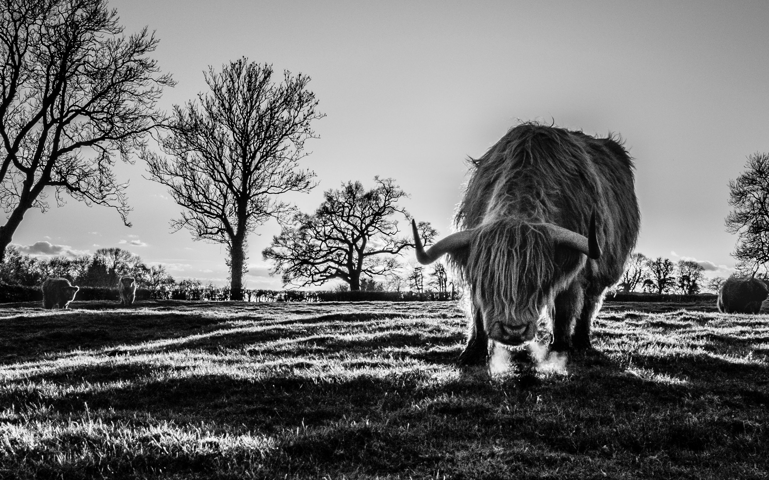 I have an anger problem.