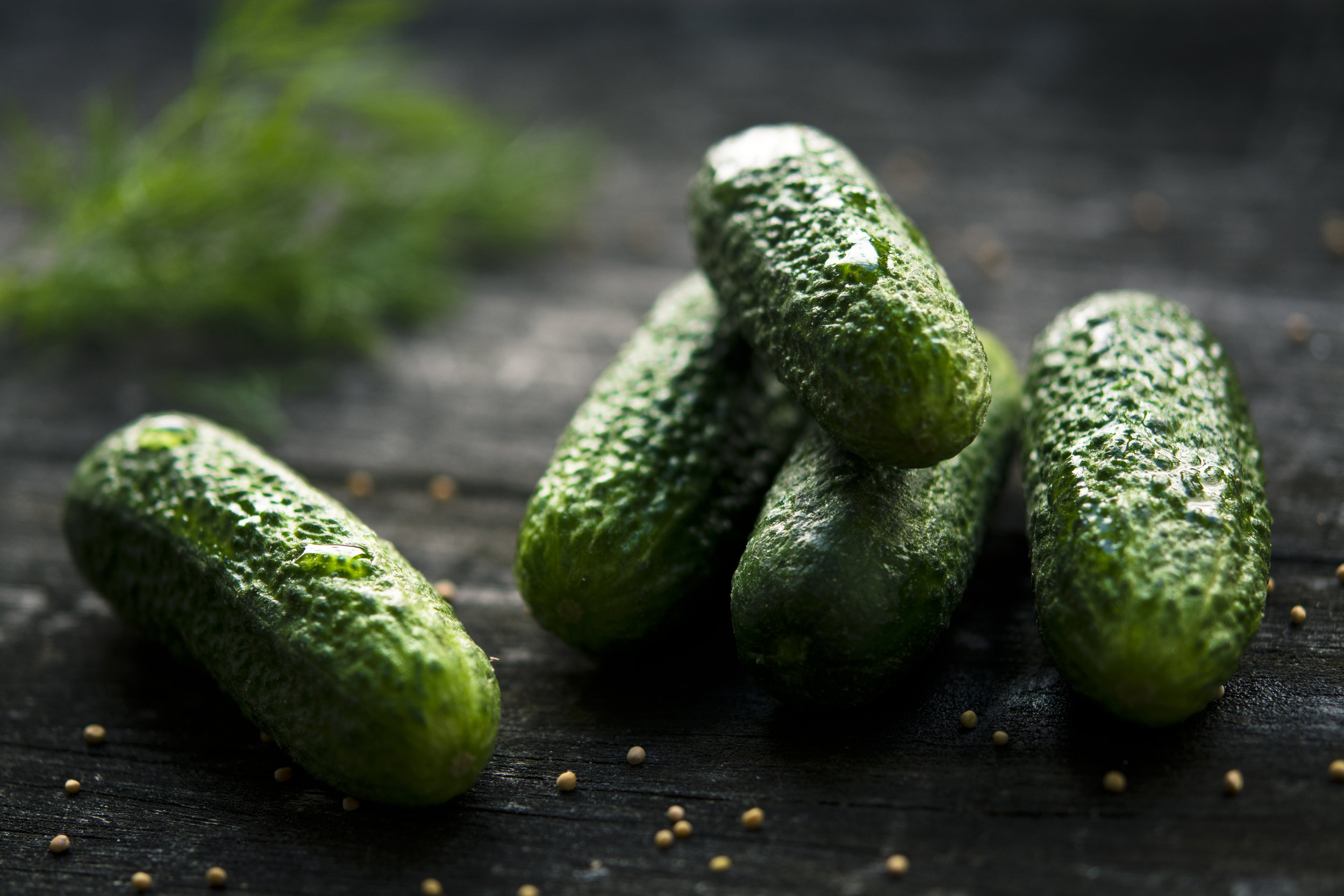 I made pickles, and I am happy.