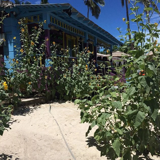 Louis &amp; Steen’s New Orlean’s Coffee