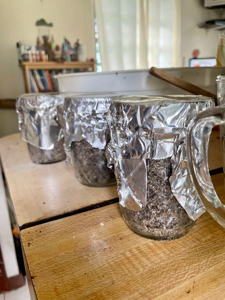 8/27/22 Lined up to go in the pressure cooker