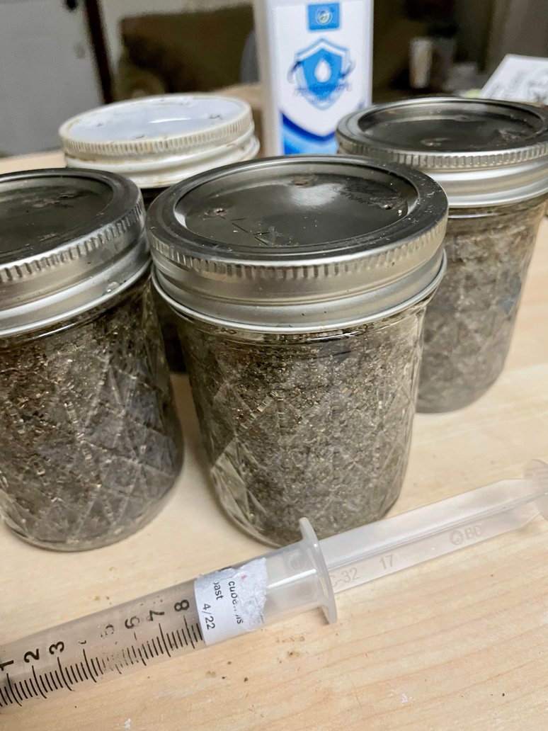 8/28/22 - Fingers crossed I've learned enough to beat my last flush's grow projection