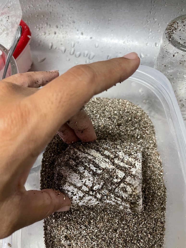Rolling in vermiculite