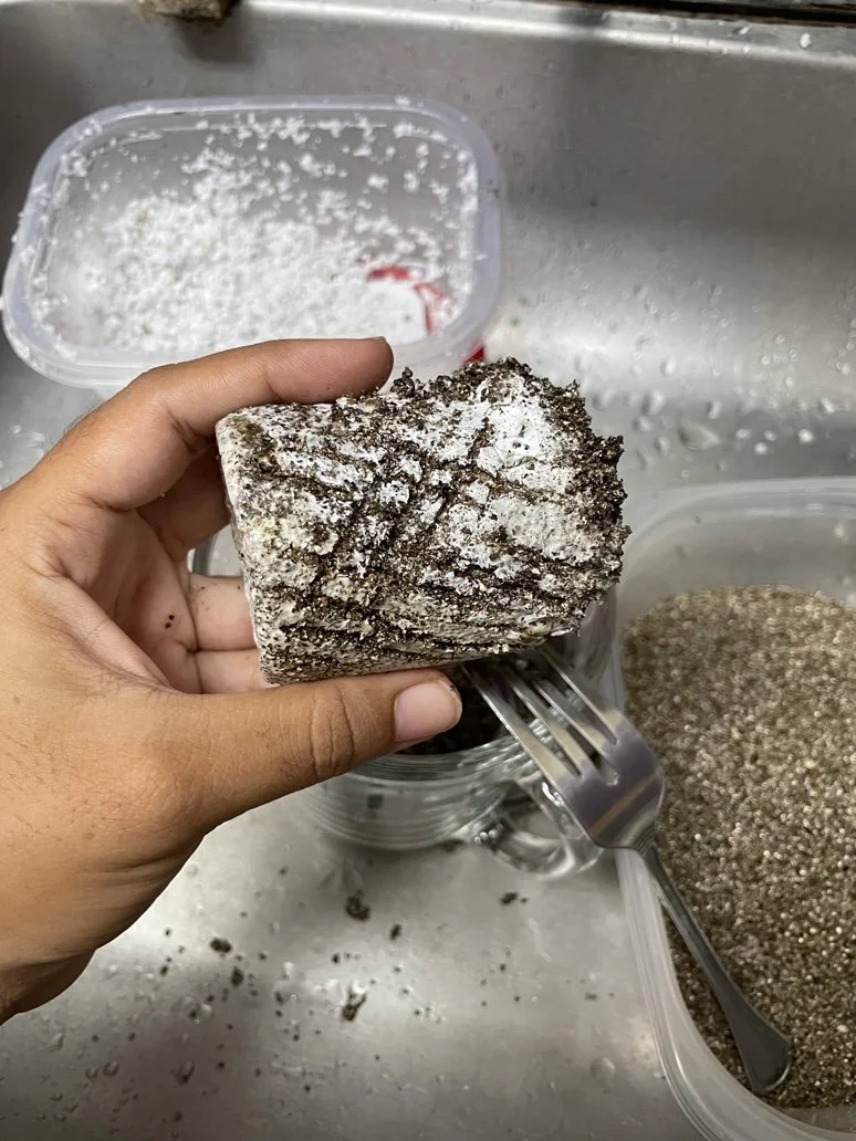 Scraping with a fork to help promote pin growth