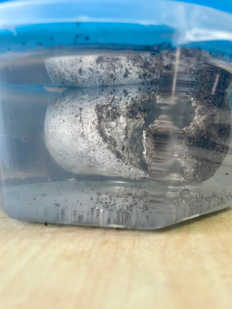 From this angle the crater looks like a face 🤭 Creepy cute?