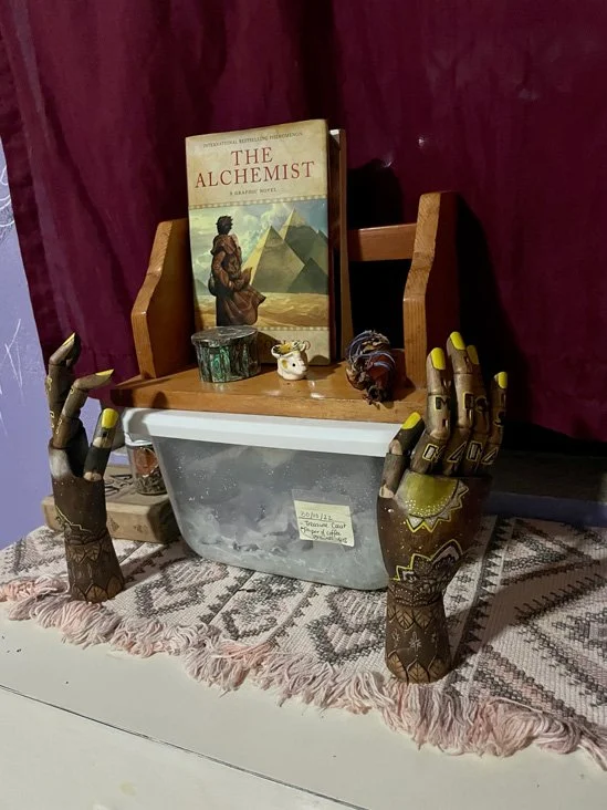 Moved to a new location with more sunlight