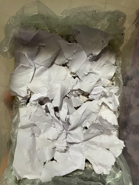 Top layer casing drying out