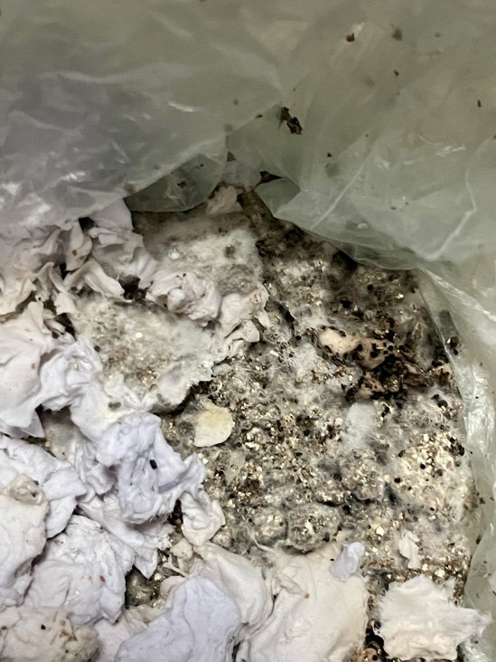 the coffee paper mix looks pretty gnarly, but this may not be so bad... 