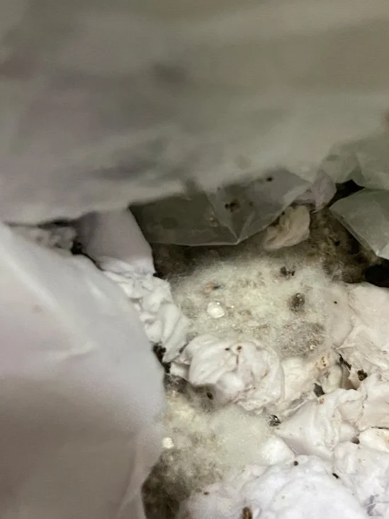 ok, you get the point