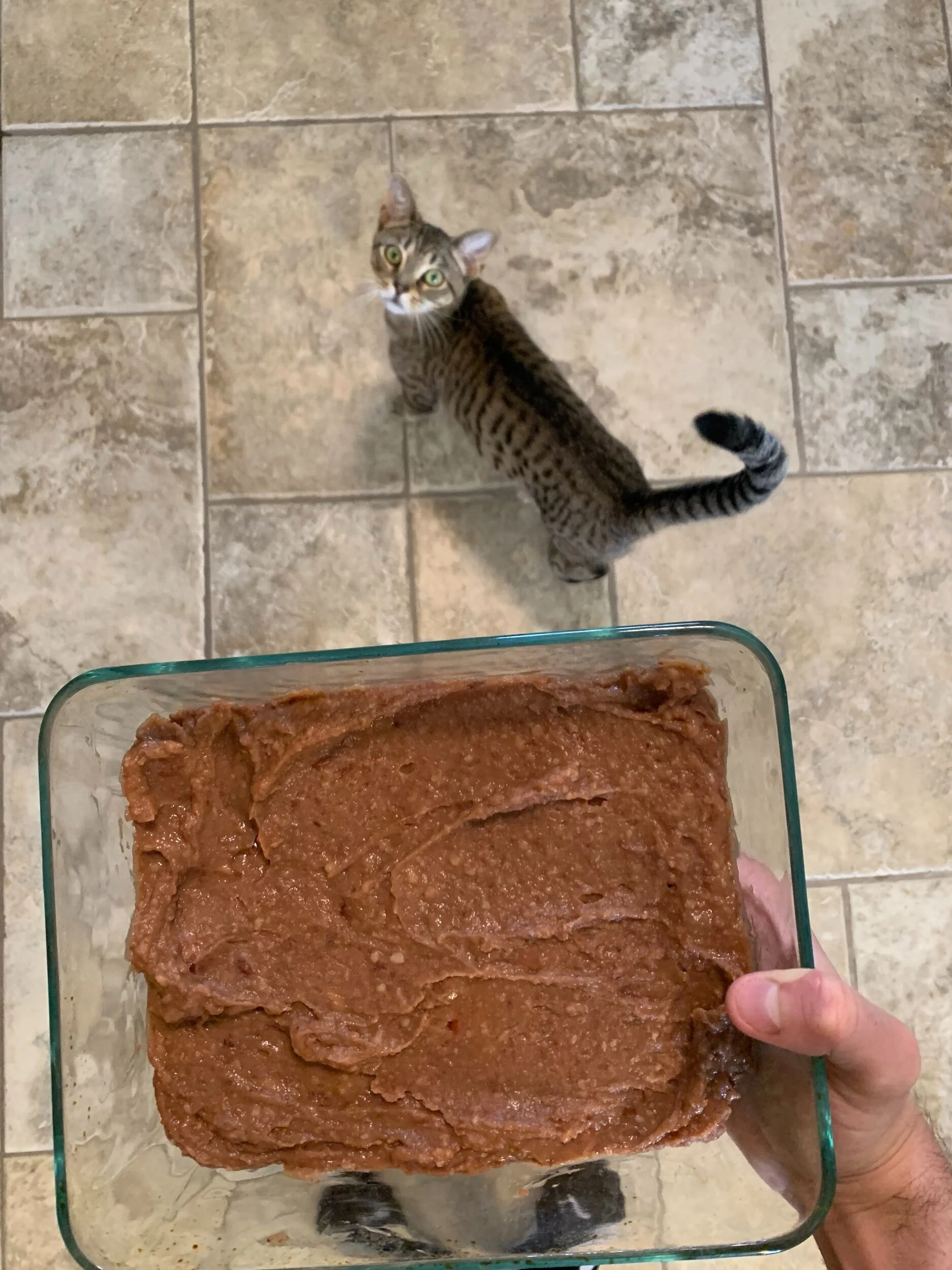 The Vegan JewelOsco Taco Dip — Dragged Through The Garden