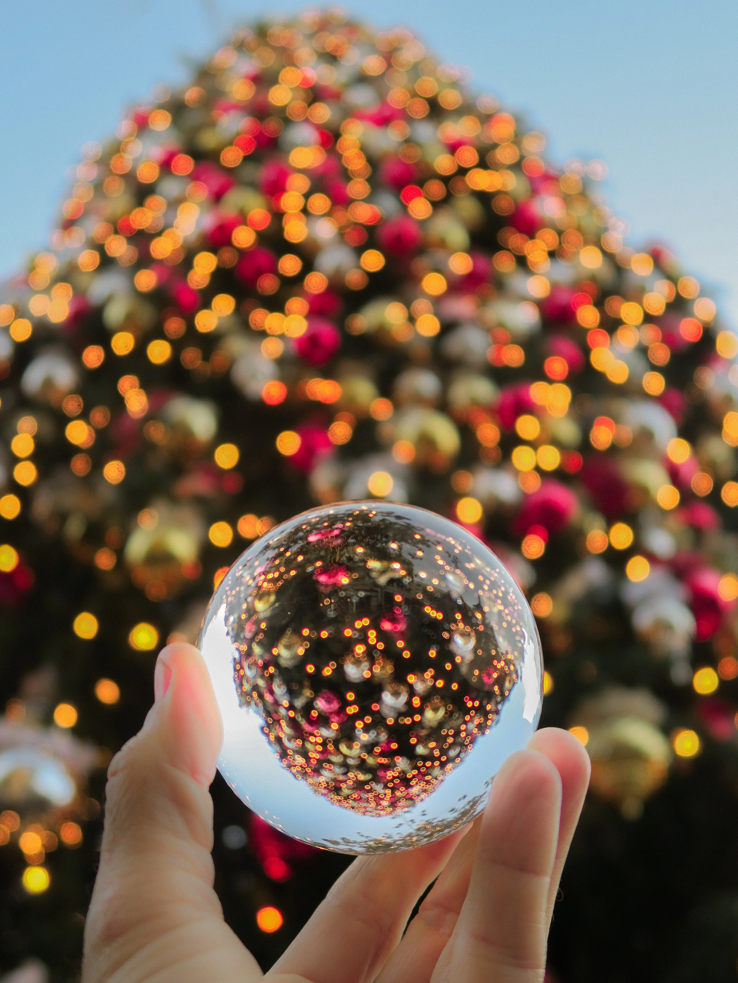 Winter Solstice Ritual: Cosmic Awakening