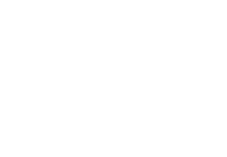 SCA Logo.png
