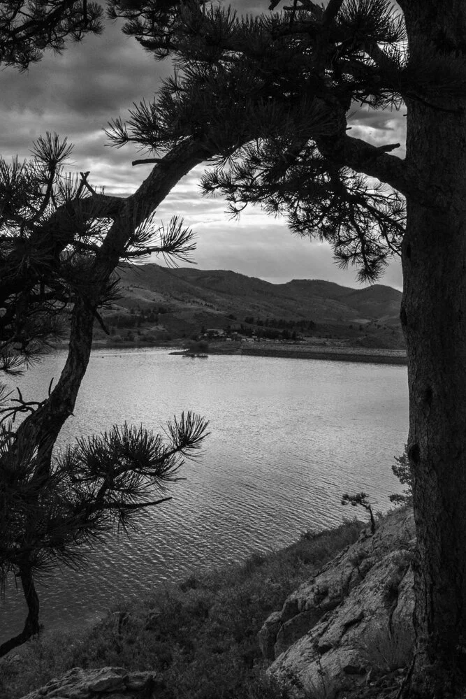 _MG_0031.jpg