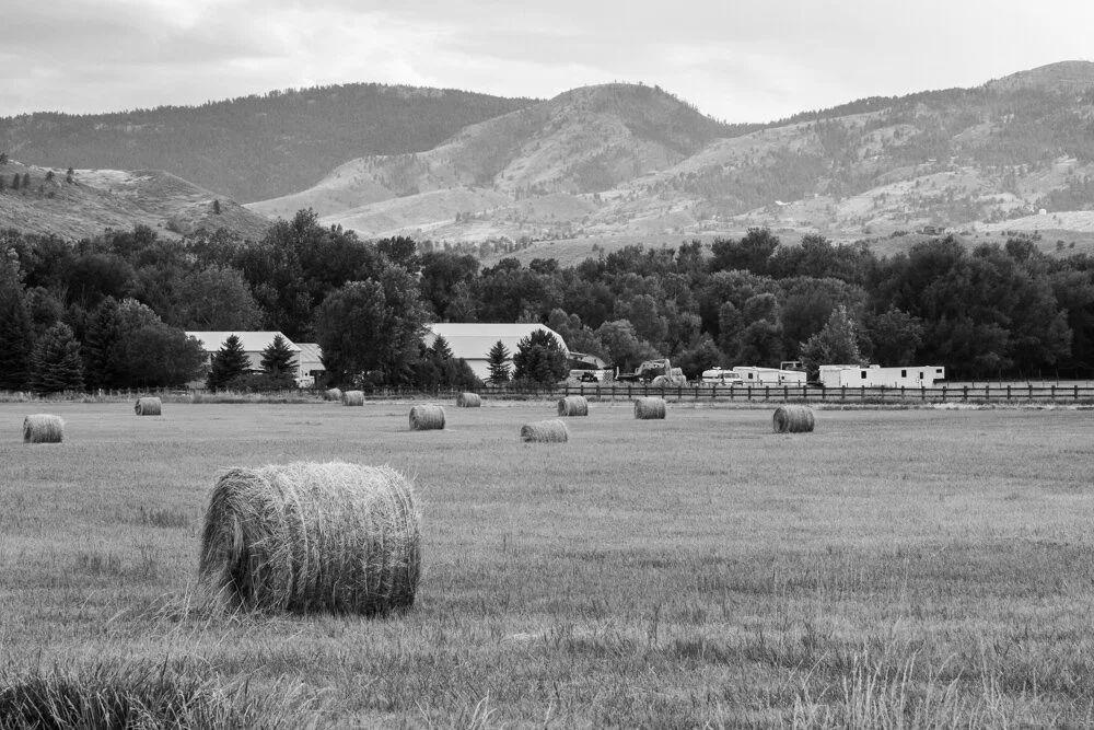 _MG_9956.jpg