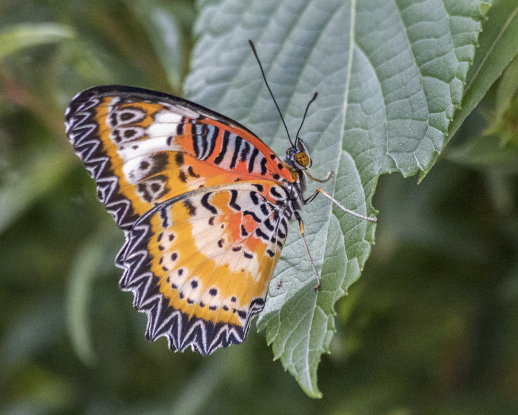 Screen Shot 2019-11-10 at 5.20.13 PM.png