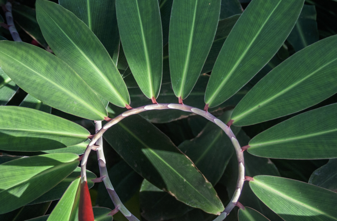 Screen Shot 2019-11-12 at 5.49.23 PM.png