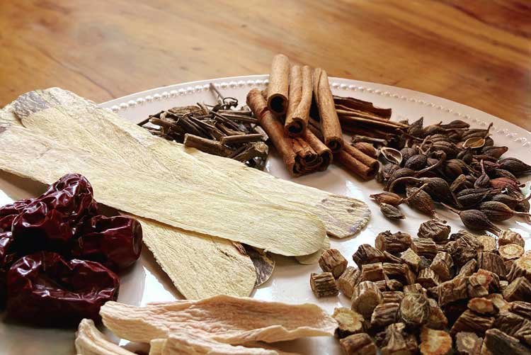 Traditional Chinese medicine herbs including astragalus root slices and red dates