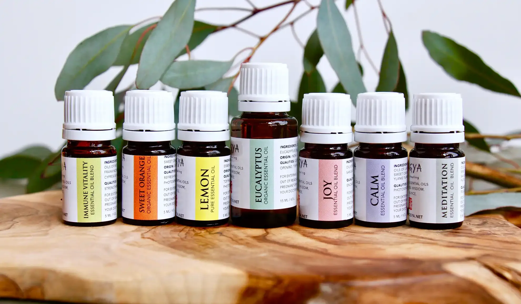 Arogya Signature Essential Oil Blends.webp