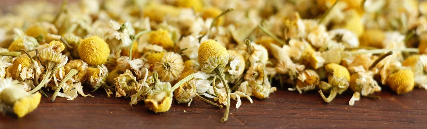 golden chamomile blossoms loose on a wooden surface