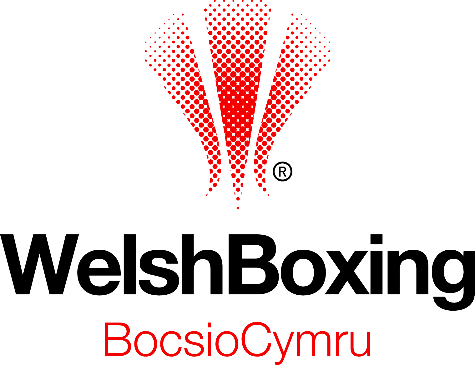 Welsh Boxing Website