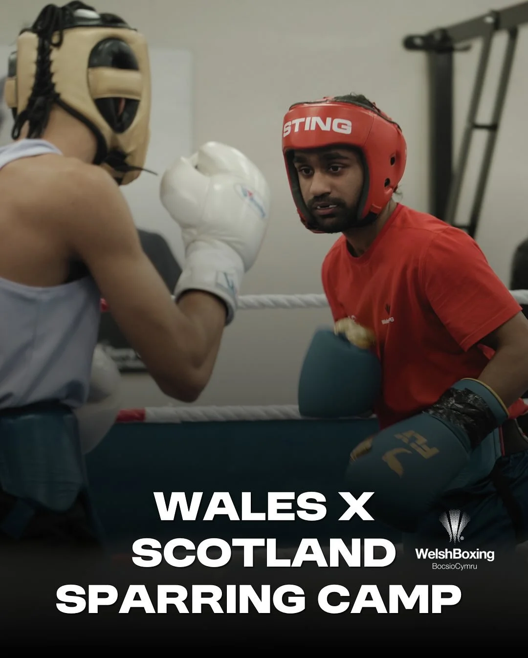 Welsh Boxing x Boxing Scotland - Sparring Camp 🏴󠁧󠁢󠁷󠁬󠁳󠁿🏴󠁧󠁢󠁳󠁣󠁴󠁿

Over the past week, Welsh Boxing had the pleasure of hosting Boxing Scotland for a joint sparring camp in Sport Wales National Centre, Cardiff 🥊

Massive thank you to Scotl