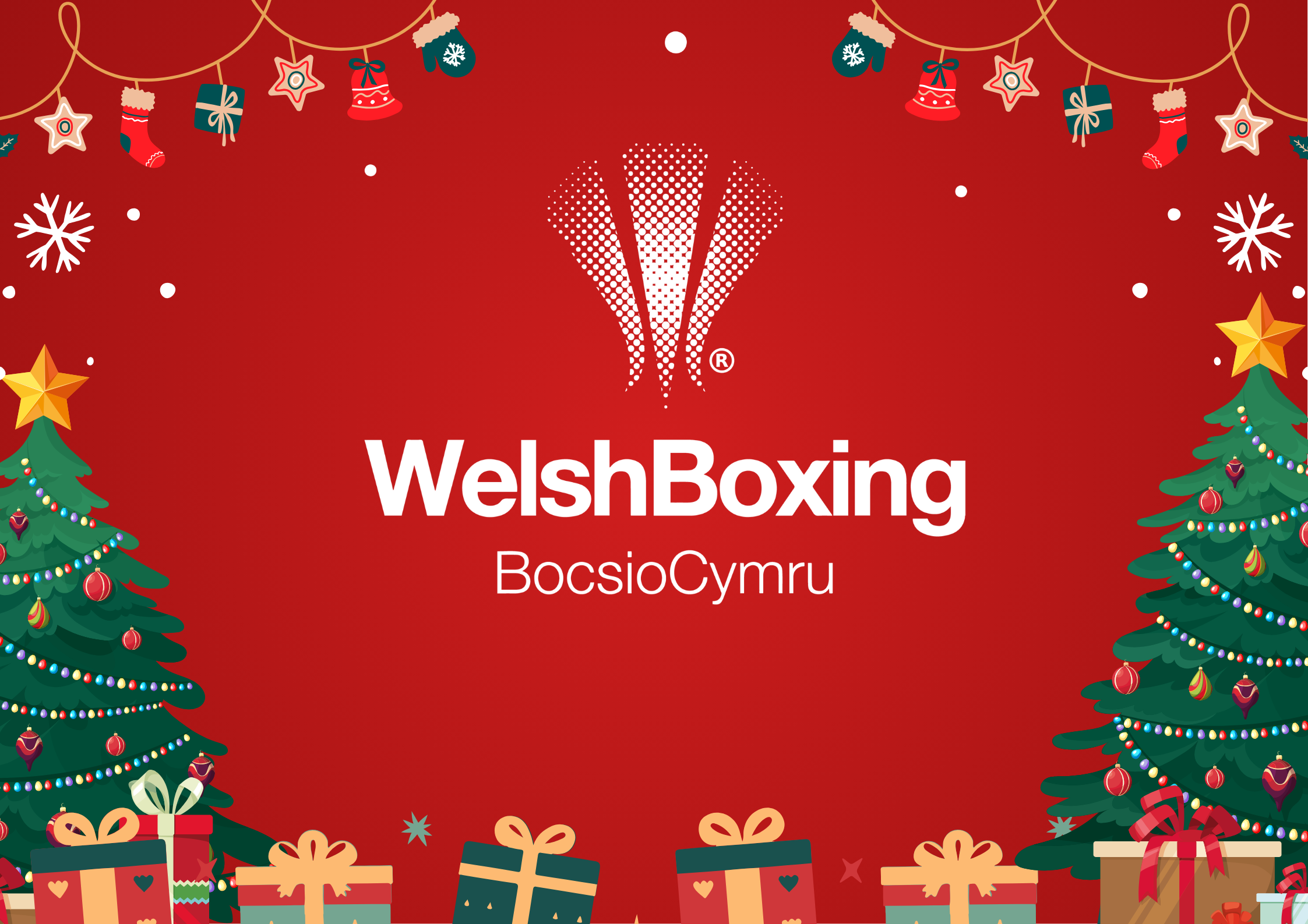 Merry Christmas from Welsh Boxing