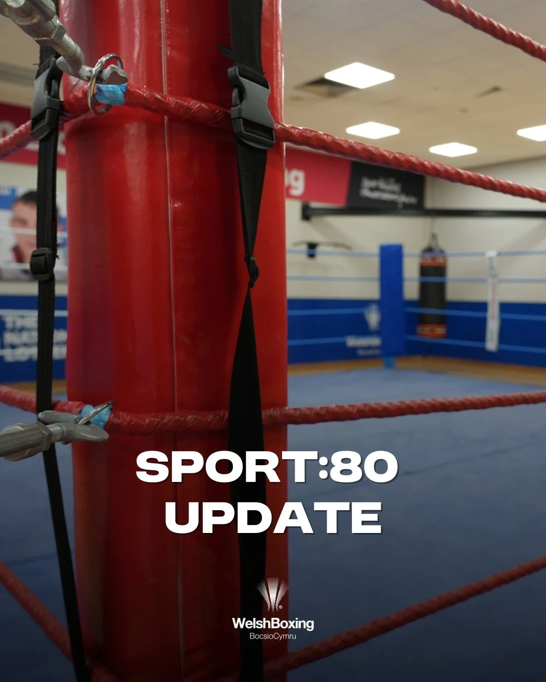 SPORT:80 SYSTEM UPDATE &ndash; ALL CARDED BOXERS

There has been an update added to the membership system to make the running of club shows easier for divisional supervisors and doctors.

From today, if you are a carded boxer, you will require:
&bull