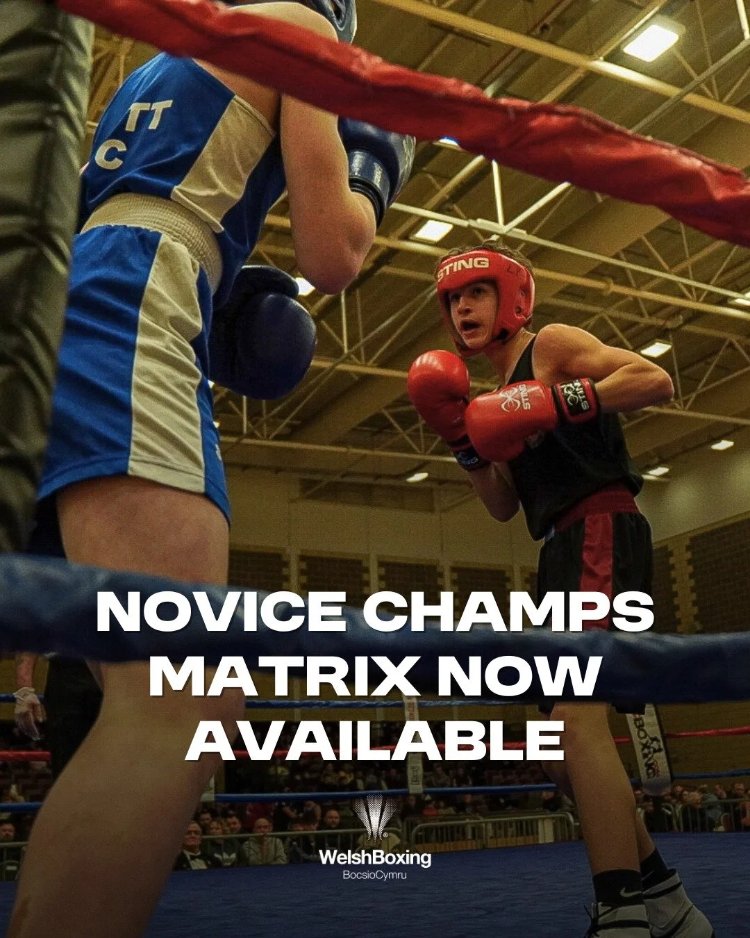 🥊 2026 Welsh Novice Championships &ndash; Matrix Now Released 🥊

The official matrix is now out for the 2026 Welsh Novice Championships.

The official matrix can be found in the link in our bio 🔗

⚠️ Please note:
There will be no further changes t