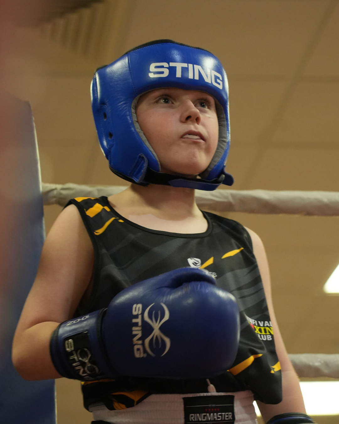 Welsh Boxing is Recruiting Three Key Board Directors