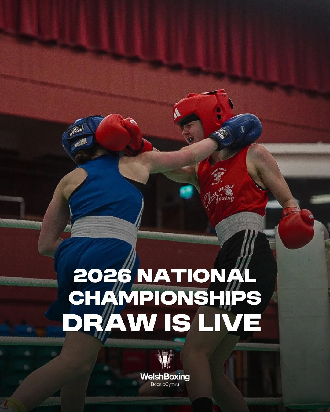 🥊 Welsh Boxing National Championships 2026 - The draw is now LIVE 🥊

The 2026 Welsh Boxing National Championships are taking place at the Sport Wales National Centre, Cardiff.

This prestigious event brings together the best Open Class Elite, Youth