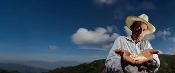 Rapid Agriculture and Income Support and Empowerment Project, El Salvador (2023)