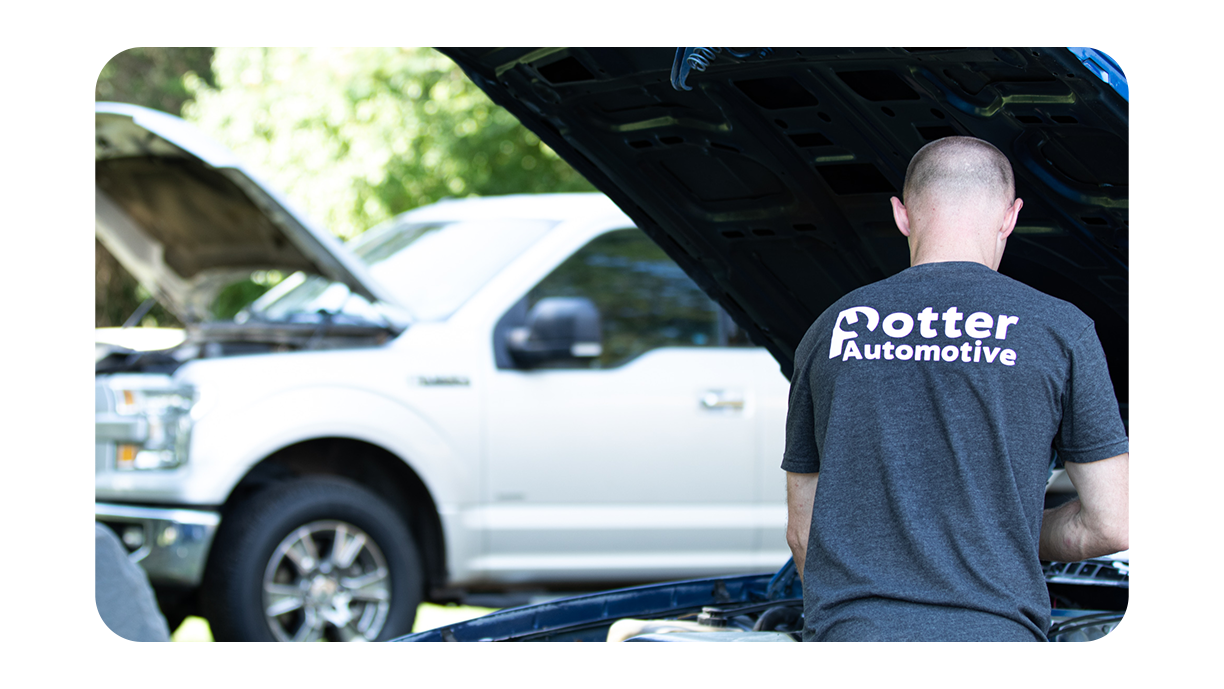 Potter Automotive