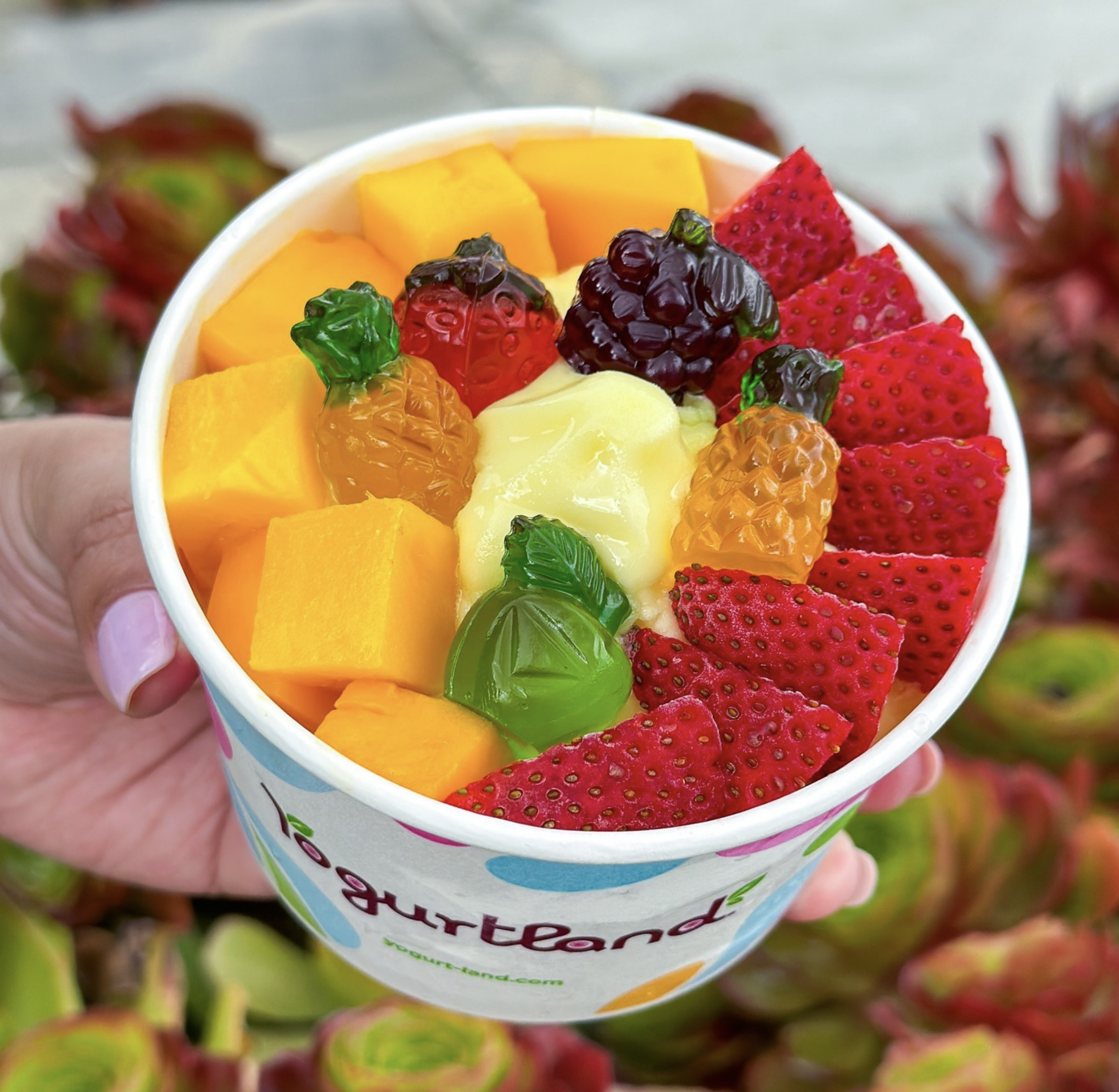For Your Next Event, Get Yogurtland Catered!