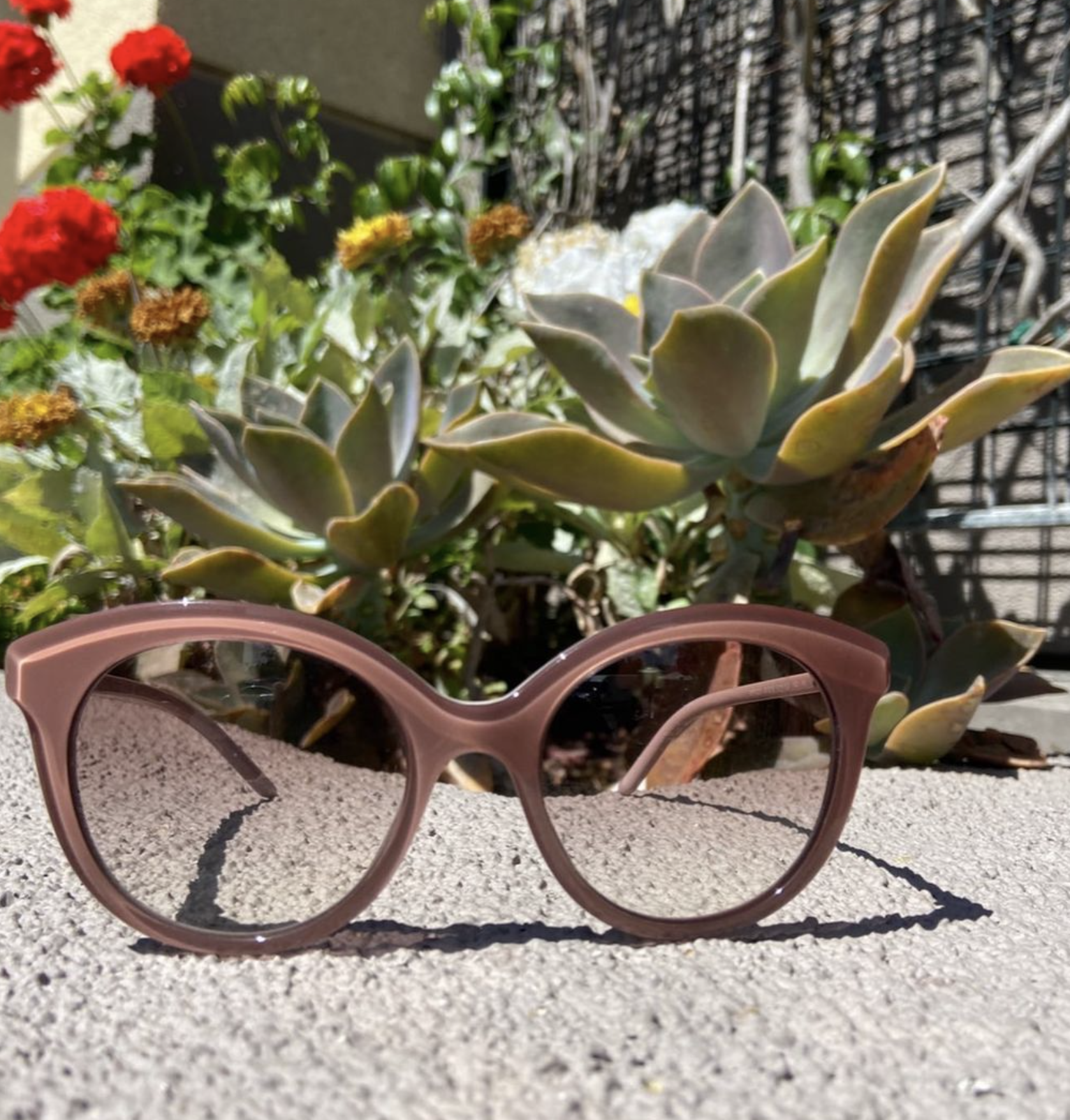 Pick up a Pair Luxurious New Summer Shades at Optical Illusion!