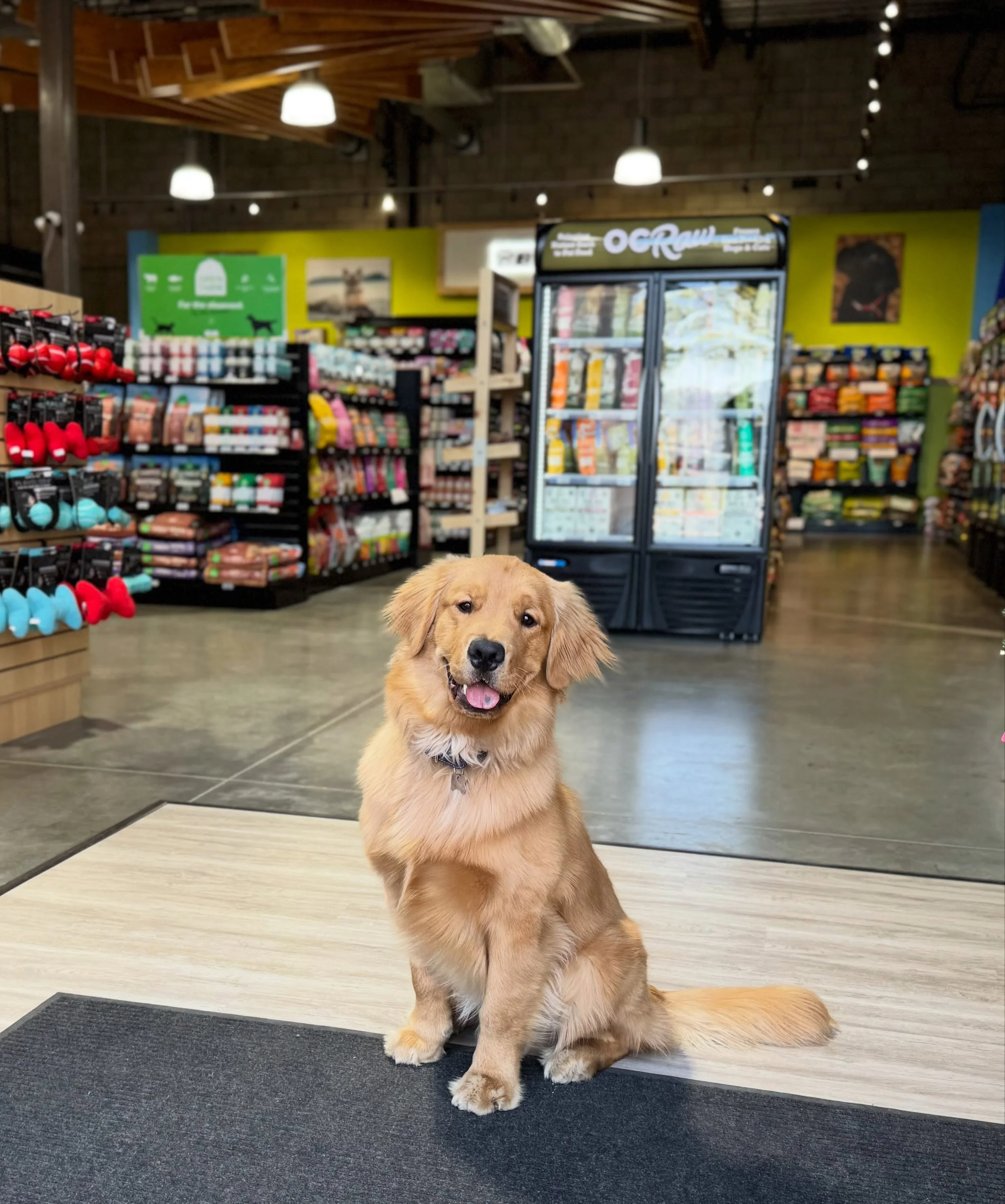 Calling all pet parents! 🐾 Neighborhood Pet Store Day is happening now at @ibpet, with special offers on food, treats, and plenty of pet favorites all weekend long.

Visit IB Pet at #FlowerHill September 25-27 to shop the deals and stock up on essen