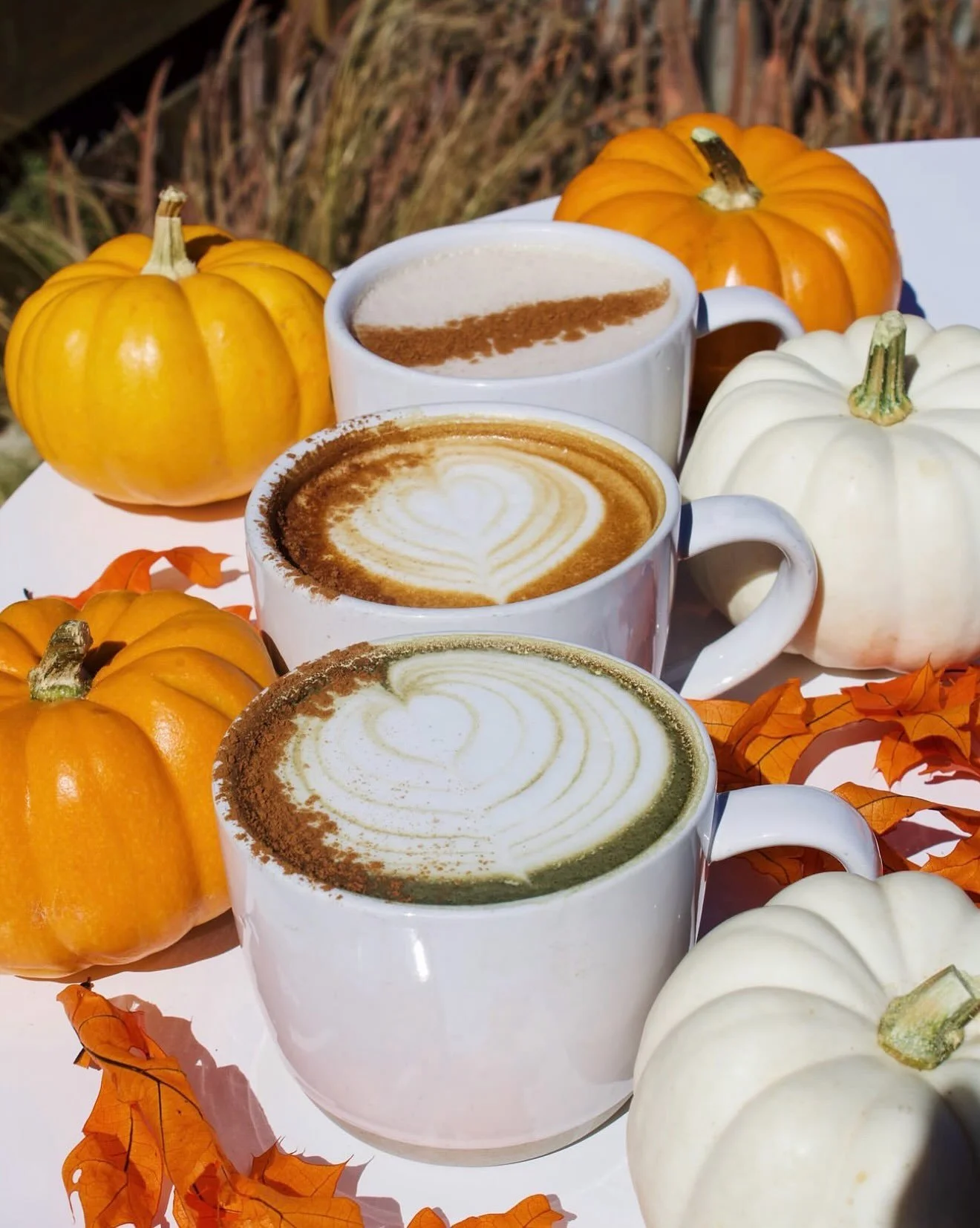 Fall has made its way to Flower Hill 🍂 Swipe to see a few of our favorite signs of the season, from fresh flavors to new fashion finds and everything in between.

#LetsMeetAtFlowerHill #SanDiego #VisitDelMar #DelMarCalifornia #DelMarLiving