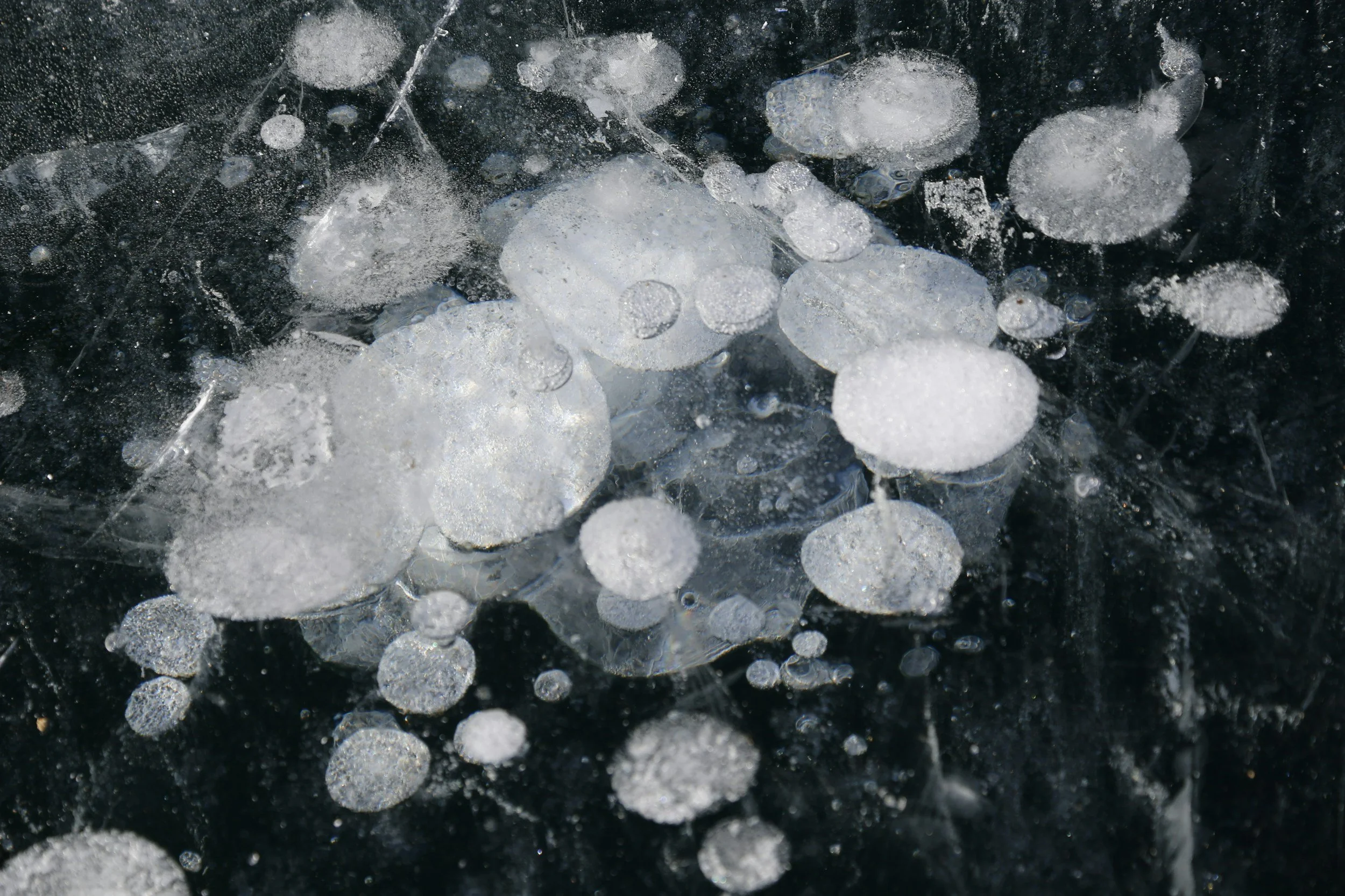 Hail Events Caused the Highest Percentage of Storm Losses In 2023