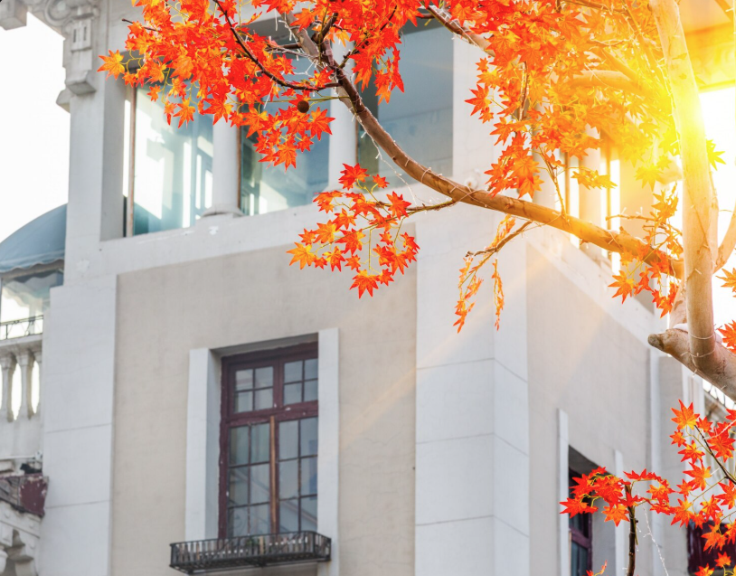 Moving Into a New Apartment This Fall? Don't Forget These Insurance Questions