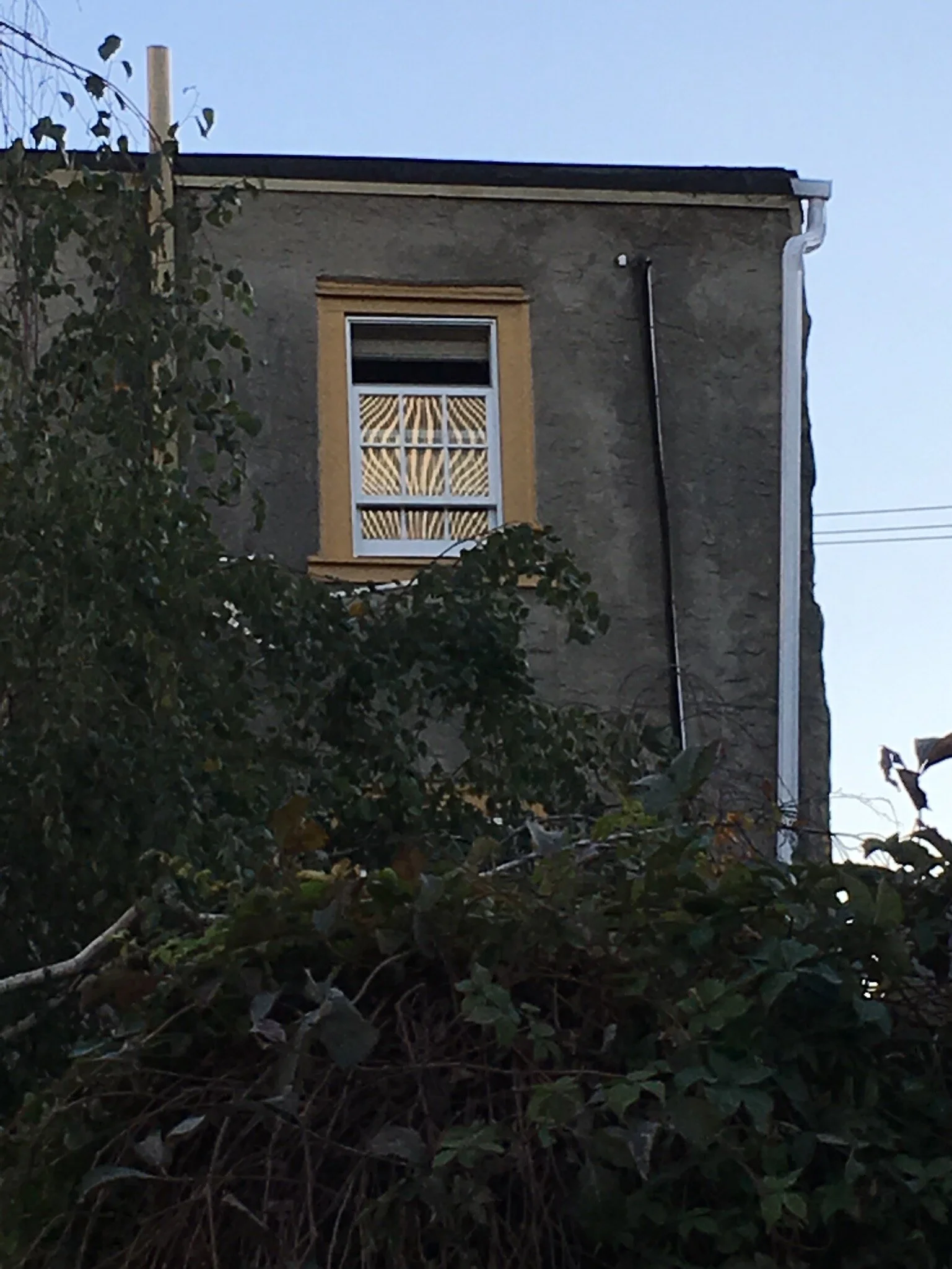 p9 Reflected Corrugation.jpg