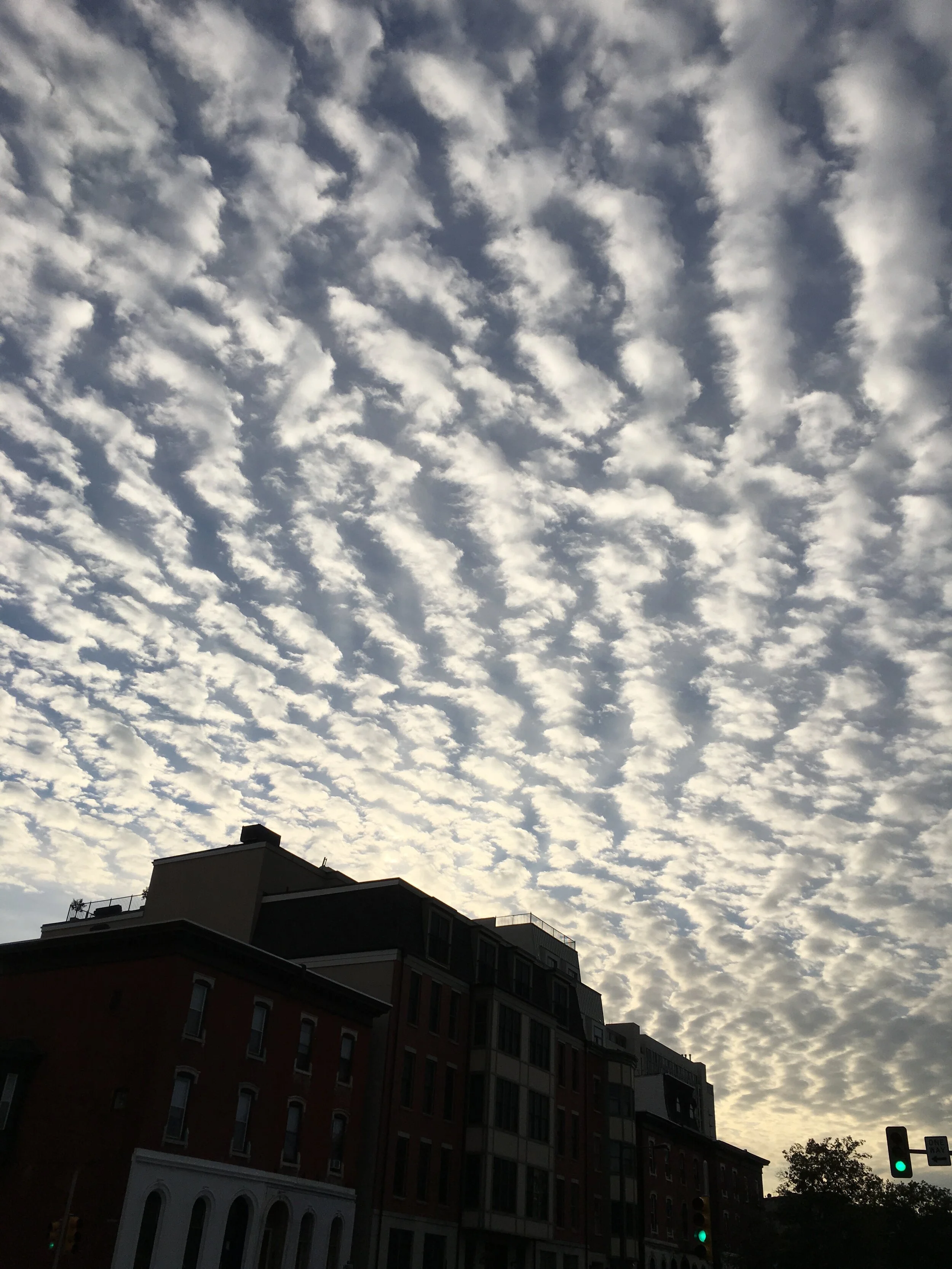 p10 Evening Ride on Spring Garden.jpg