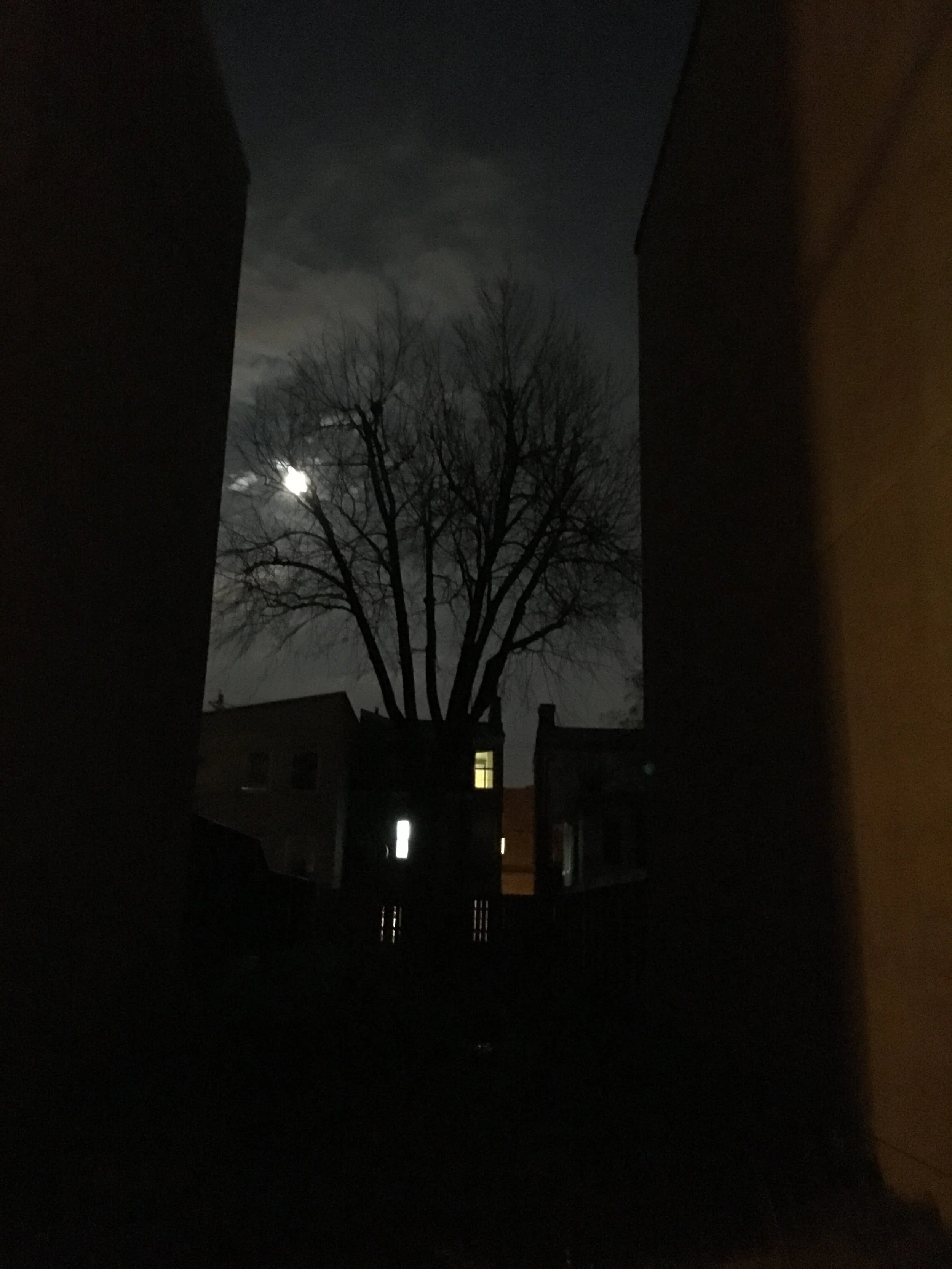 p17 Opening, in December.jpg