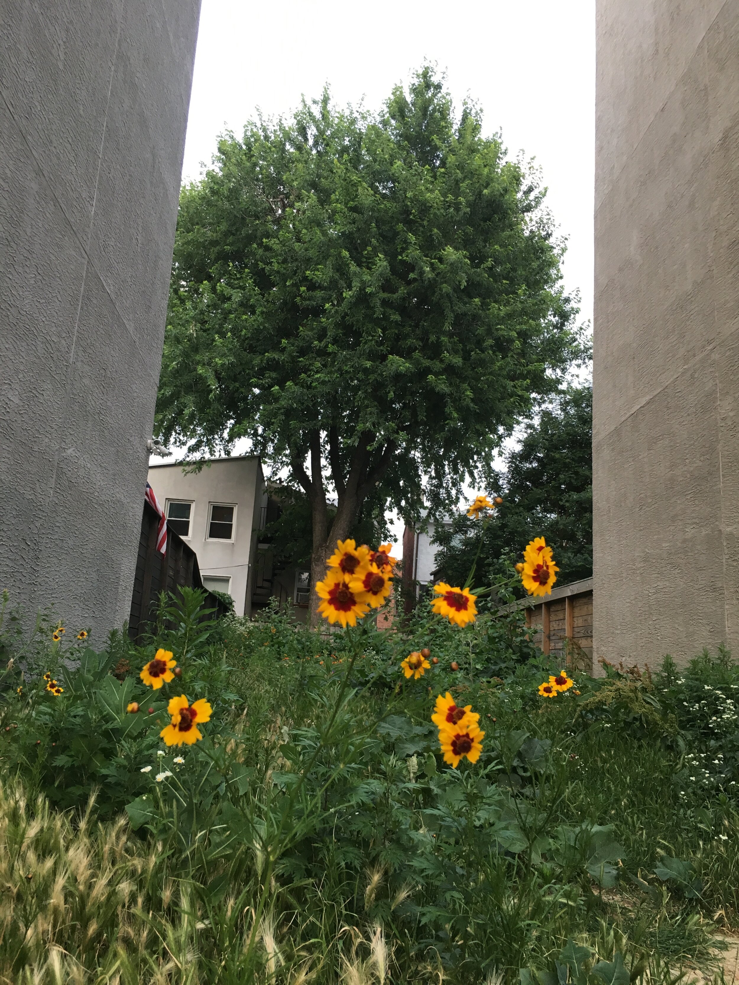 p16 Opening, in June.jpg