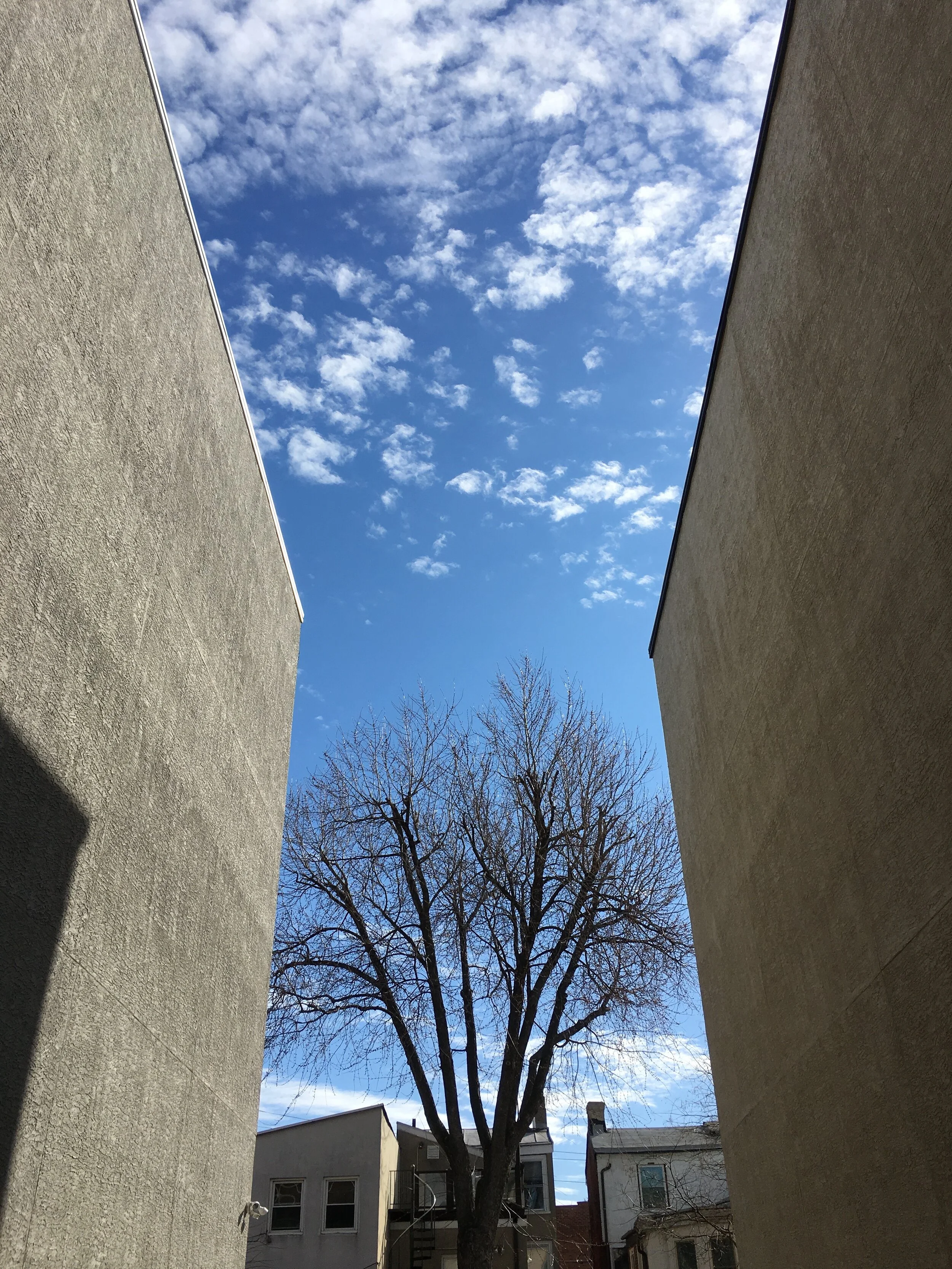 p18 Opening, in March.jpg